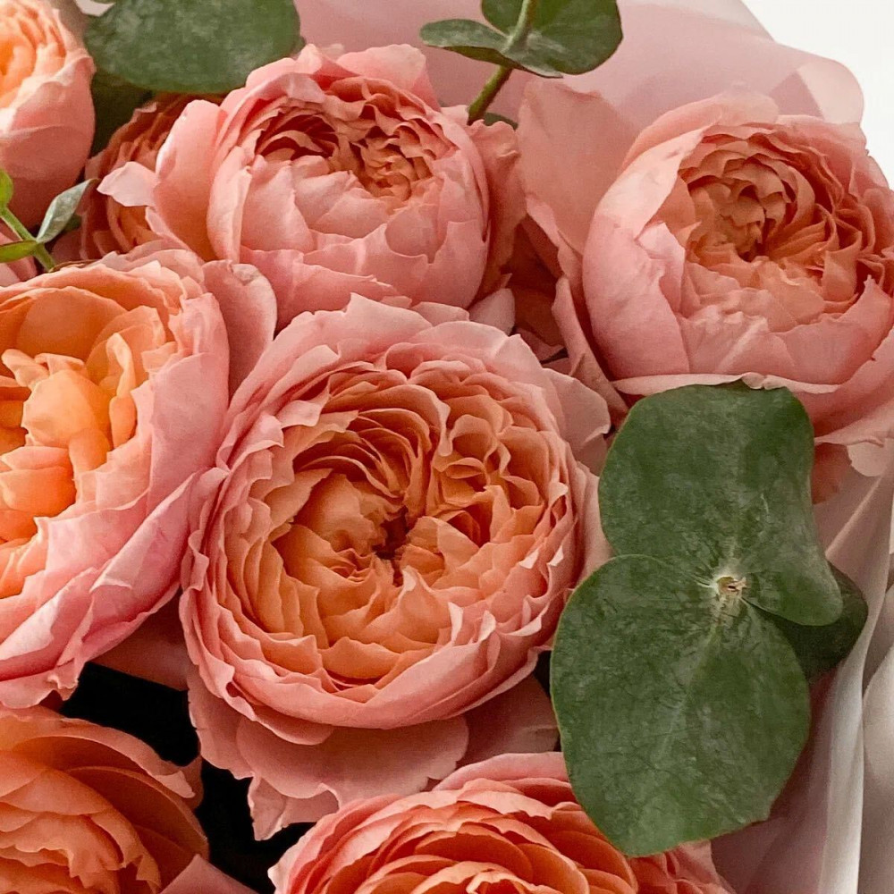 Букет цветов «Монобукет из кустовой пиновидной розы» - фото 2