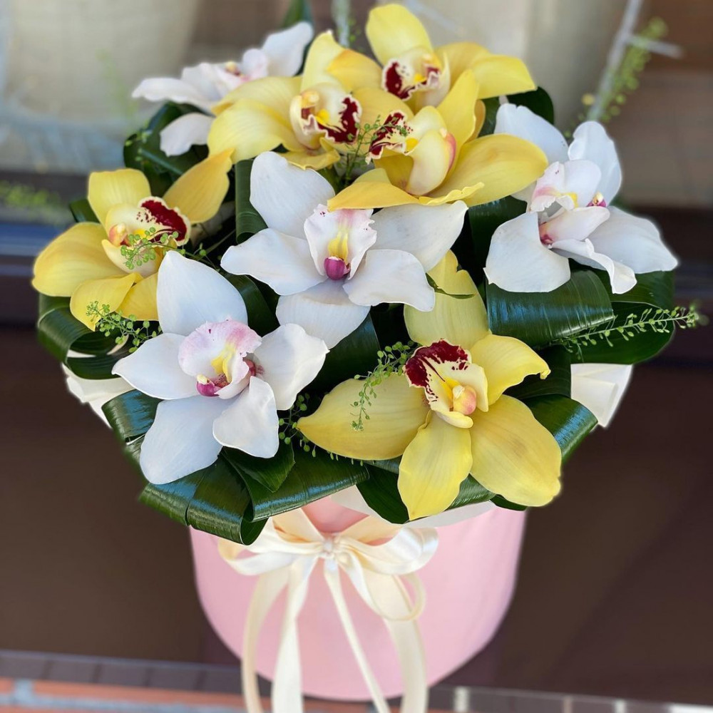 Букет цветов «Орхидеи желтые и белые в коробке»